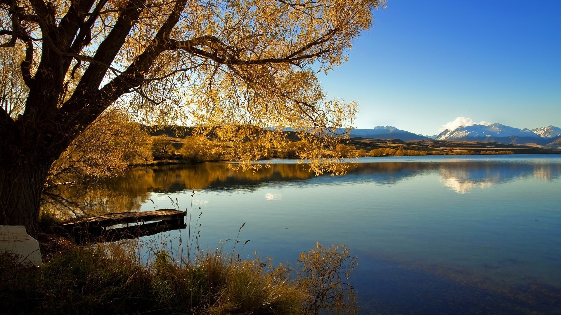 世界短跑青年联赛积分榜更新，世界短跑比赛视频